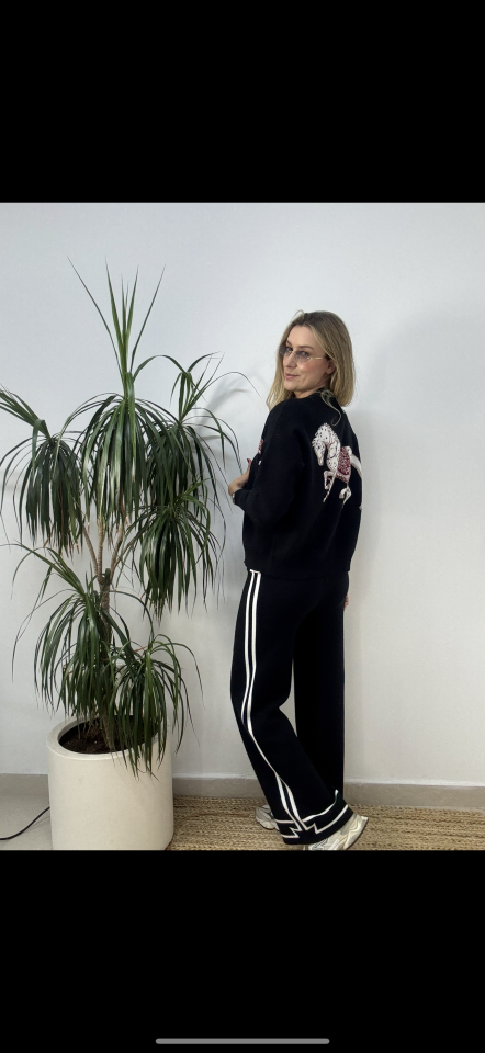 İTHAL AT DESENLİ TRİKO HIRKA TAKIM SİYAH / STD