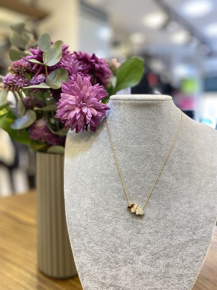 İKİ KALPLİ İNCE ZİN KO ROSE