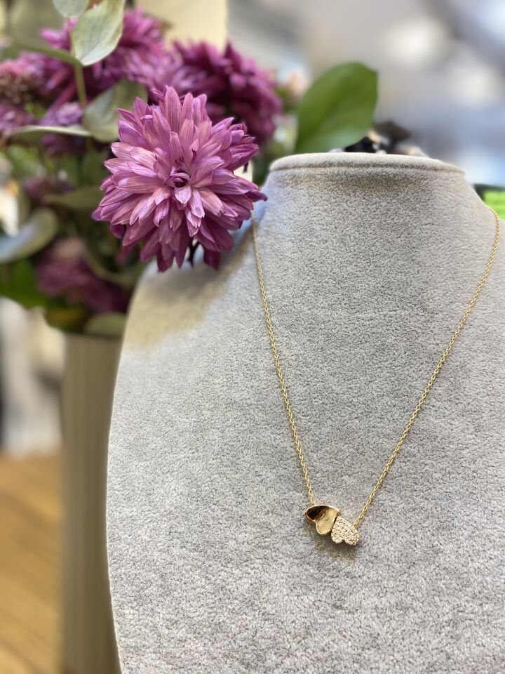 İKİ KALPLİ İNCE ZİN KO ROSE