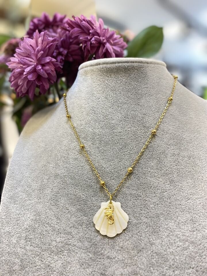 DENİZ KABUK KO ALTIN