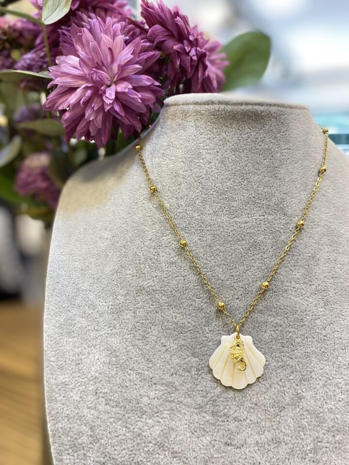 DENİZ KABUK KO ALTIN